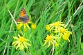 30 08 15_6779_edited-1